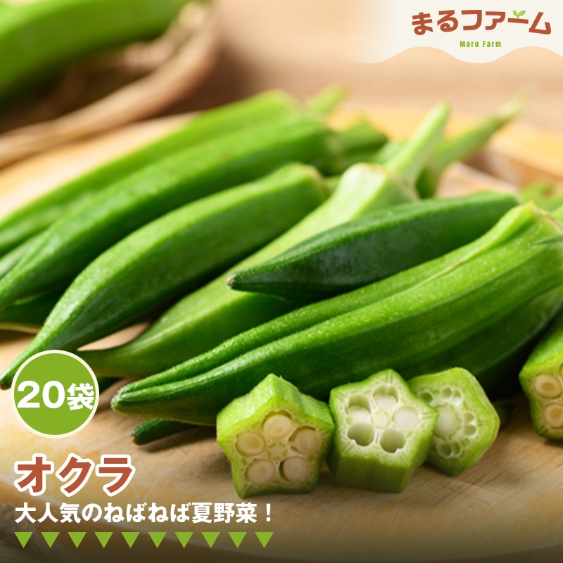 オクラ 20袋 No.378｜野田市｜千葉県｜返礼品をさがす｜ふるさと納税