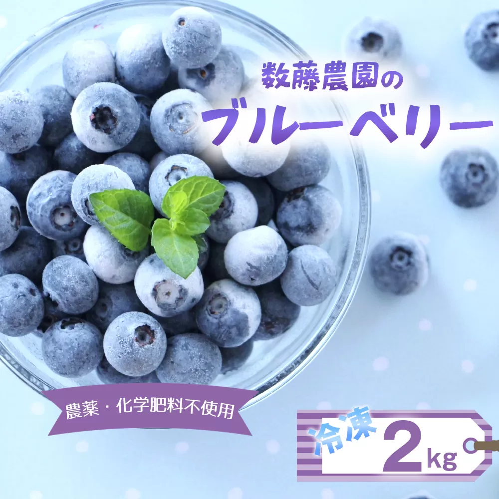 冷凍ブルーベリー 2kg 農薬・化学肥料不使用 No.322