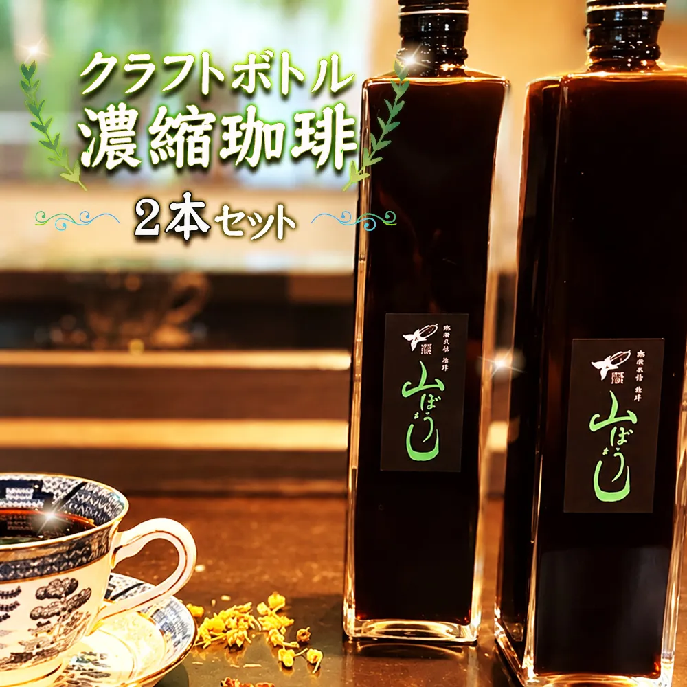 クラフトボトル 濃縮珈琲 2本セット No.168