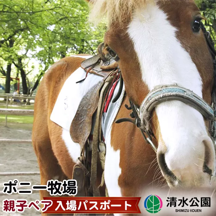 清水公園 ポニー牧場 親子 ペア 年間 入場 パスポート《30日以内に出荷予定(土日祝除く)》
