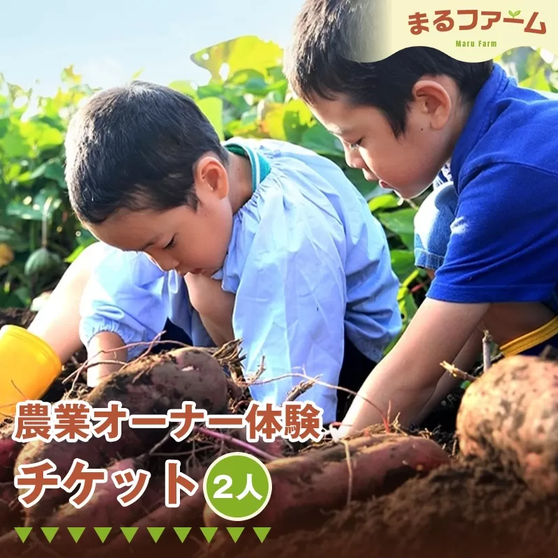 農業オーナー体験（2人分） No.381