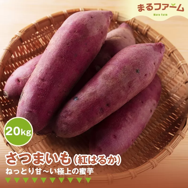 サツマイモ(紅はるか) 20kg No.387