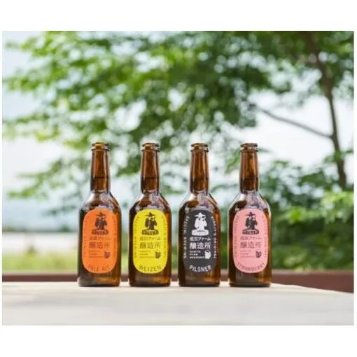 クラフトビール3本セット お酒 地ビール 330ml 