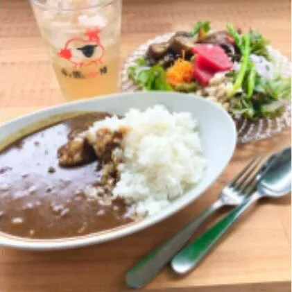 ジビエカレー2人分 惣菜 洋食 レトルトカレー 鹿肉 猪肉 湯煎調理 温めるだけ ランチ お昼ご飯 夕飯 ジビエ料理 