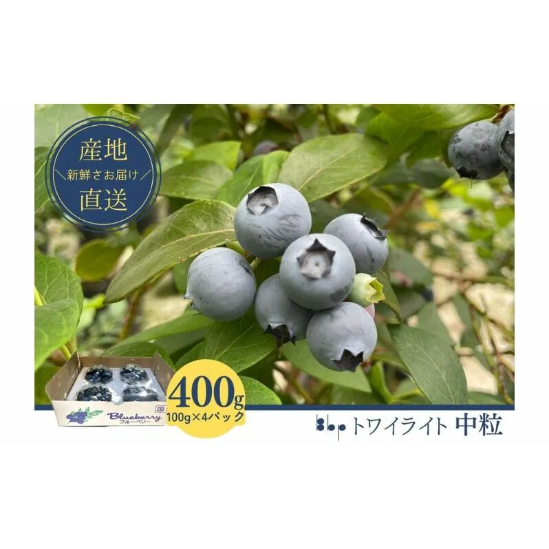 フレッシュブルーベリー　(トワイライト中粒100g×4） 果物 フルーツ 国産フルーツ 朝摘みブルーベリー 上品な香り 国産ブルーベリー 