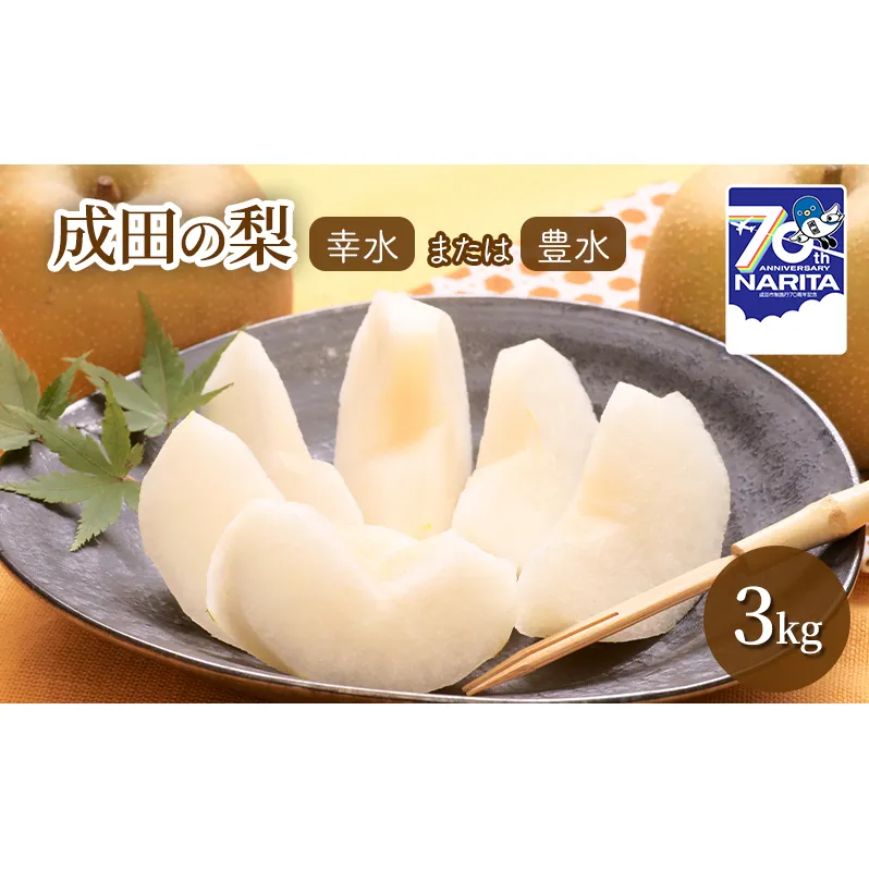 梨 【日時指定不可】 梨（幸水または豊水）3kg フルーツ 果物 なし お取り寄せ 特産品 旬のフルーツ 千葉県 成田市 