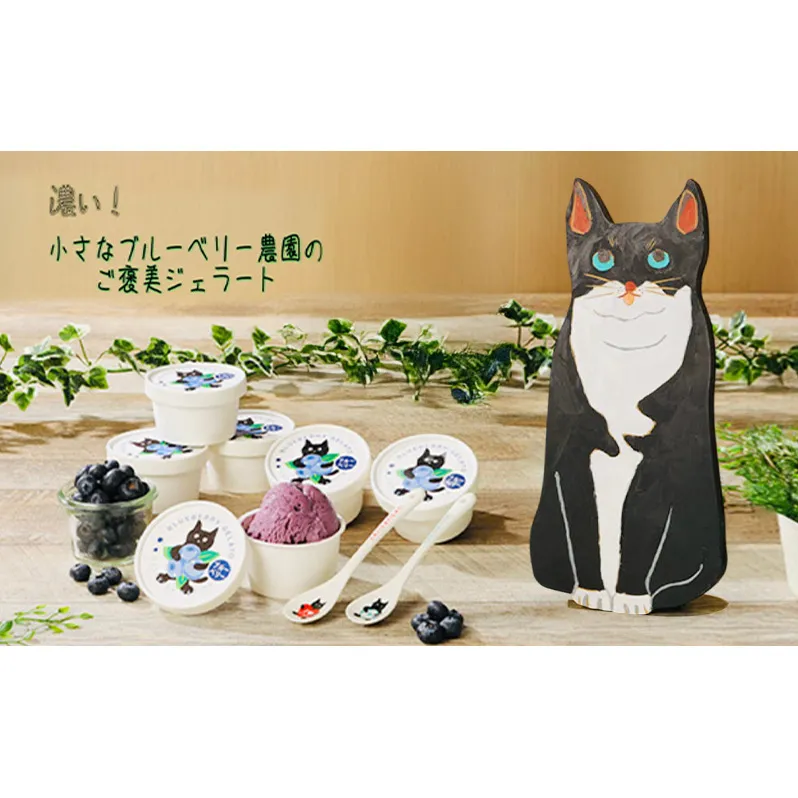 ジェラート 濃い!小さなブルーベリー農園のご褒美ジェラート ブルーベリー アイス ミルク 濃厚 セット スイーツ デザート 冷凍 ご褒美 ギフト プレゼント 贈り物 お取り寄せ 成田市 千葉県