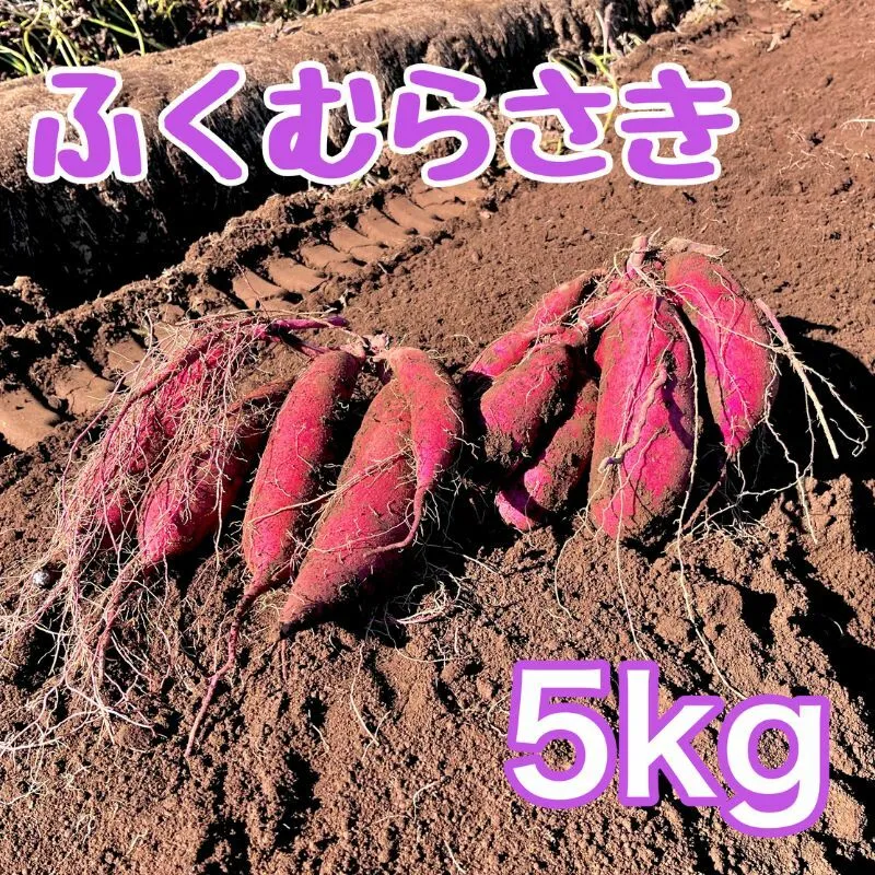ふくむらさき5kg　サツマイモ さつまいも 芋 千葉県 成田市