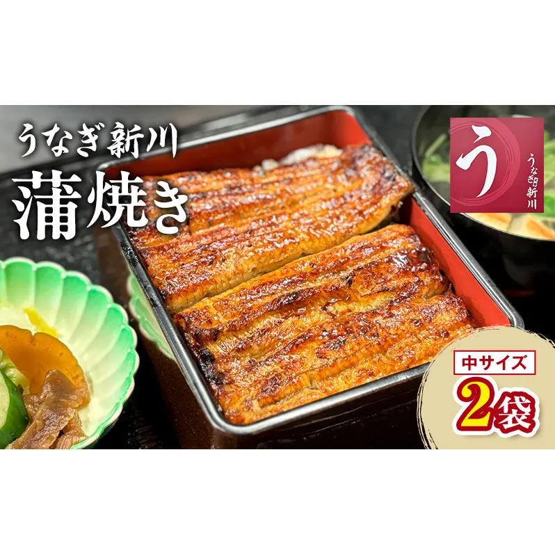 うなぎ新川 蒲焼き（中サイズ）2袋入り 　鰻 うなぎ蒲焼 蒲焼 タレ付き うな重 冷凍 成田市 千葉県