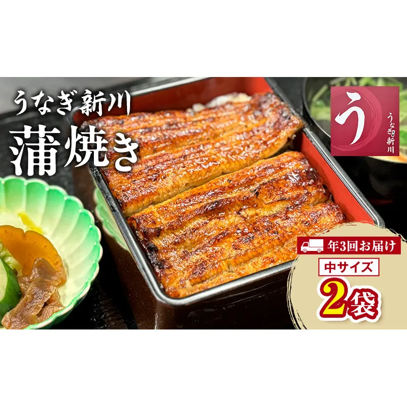 【年3回お届け】定期便 うなぎ新川 蒲焼き（中サイズ）2袋入り 　鰻 うなぎ蒲焼 蒲焼 タレ付き うな重 冷凍 成田市 千葉県
