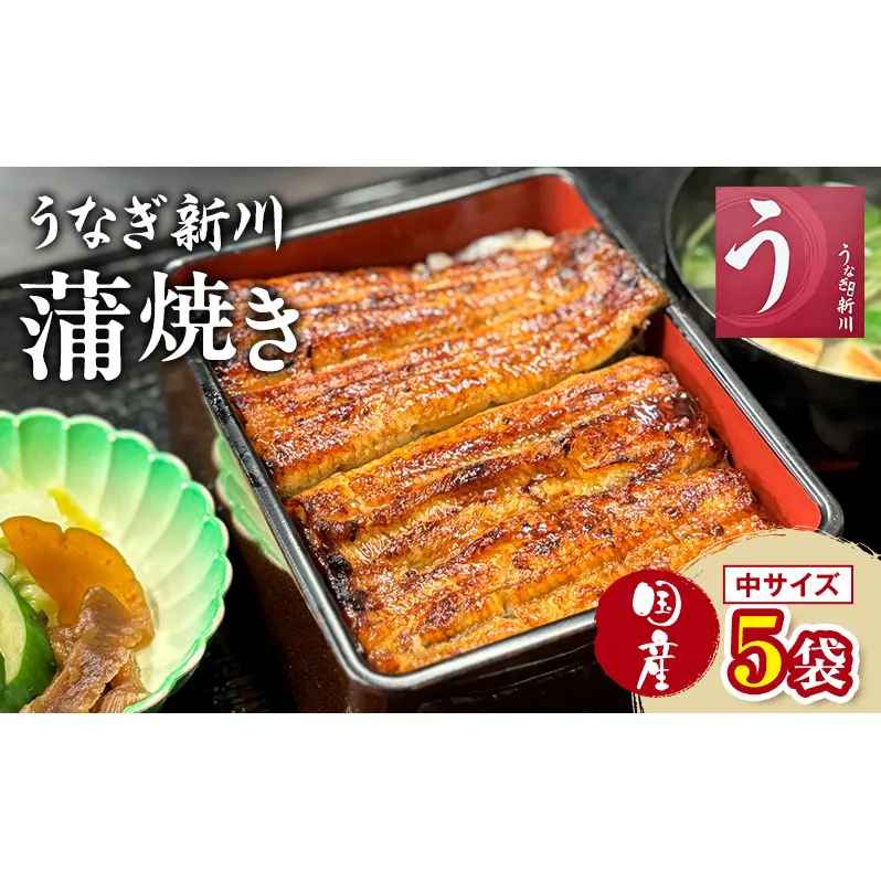 うなぎ新川 蒲焼き（国産中サイズ）5袋入り 鰻 うなぎ蒲焼 蒲焼 国産 国産うなぎ 三河一色産 タレ付き うな重 冷凍 成田市 千葉県