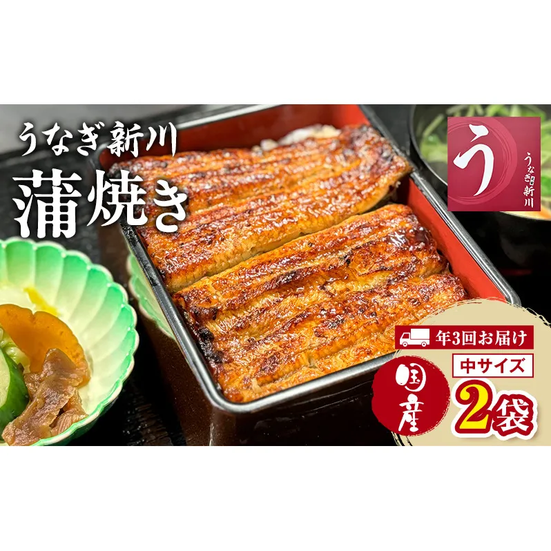 【年3回お届け】定期便 うなぎ新川 蒲焼き（国産中サイズ）2袋入り 鰻 うなぎ蒲焼 蒲焼 国産 国産うなぎ 三河一色産 タレ付き うな重 冷凍 成田市 千葉県