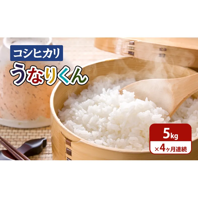 米 【令和6年度産】4ヶ月連続お届け「コシヒカリ」うなりくん5kg こしひかり コシヒカリ セット お米 精米 白米 定期便 成田市 千葉県