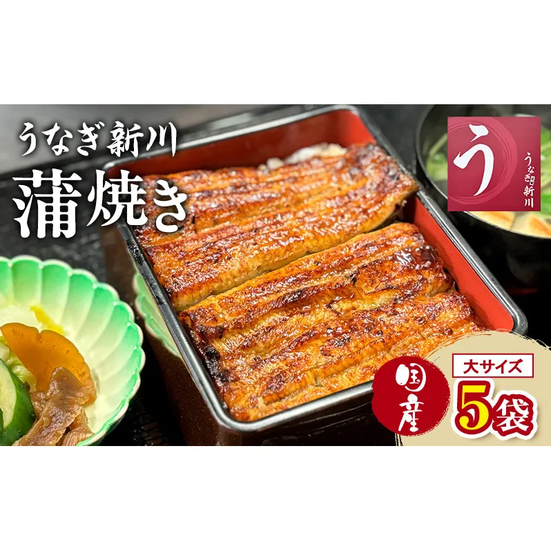 鰻 うなぎ新川 蒲焼き（国産・大）5袋入り うなぎ ウナギ うなぎ蒲焼 蒲焼 国産 国産うなぎ 三河一色産 タレ付き うな重 冷凍 成田市 千葉県