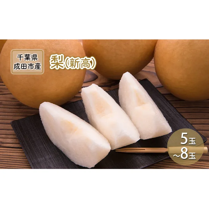 【先行予約】梨 新高 5～8玉 なし ナシ 和梨 果物 くだもの フルーツ 旬のフルーツ 旬の果物 デザート 千葉 千葉県 成田市