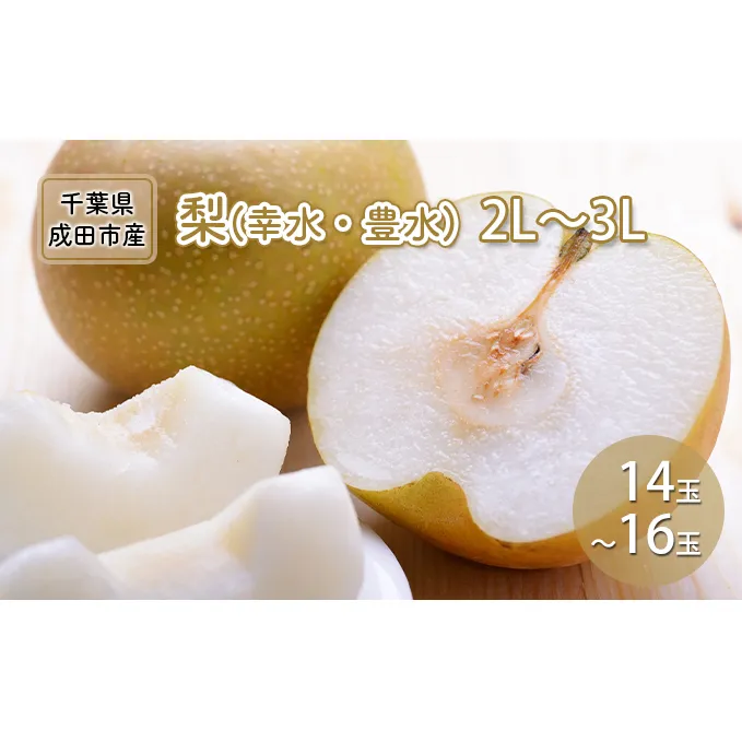 梨 幸水 豊水 2L～3L 14玉～16玉 なし ナシ 和梨 果物 くだもの フルーツ 旬のフルーツ 旬の果物 デザート 千葉 千葉県 成田市