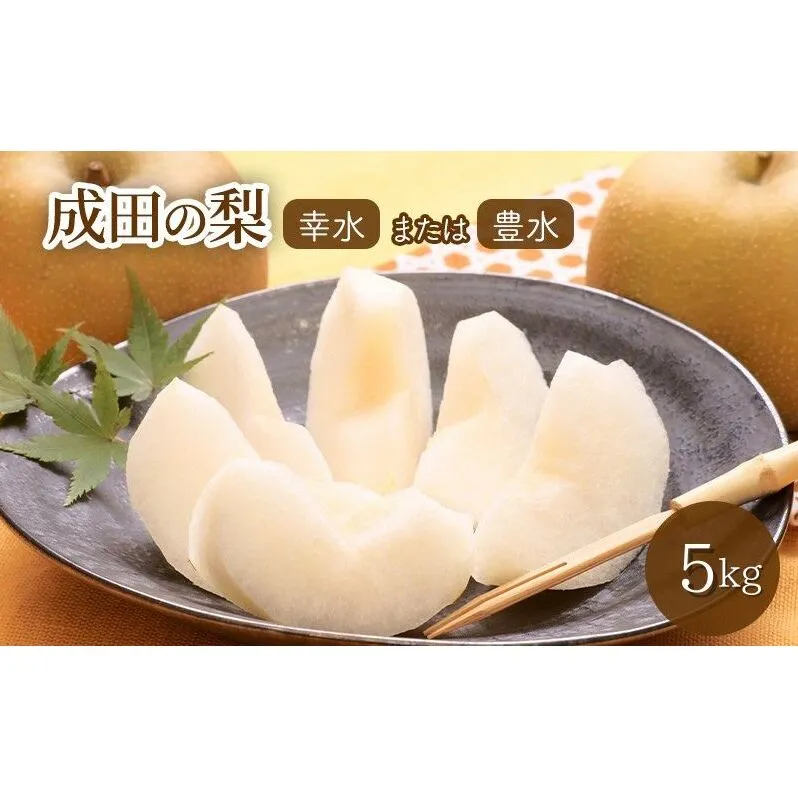 梨 5kg 幸水または豊水【日時指定不可】フルーツ 果物 ナシ なし 和梨 季節のフルーツ 季節の果物 旬のフルーツ 旬の果物 千葉 千葉県 成田市