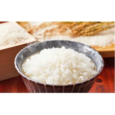 【令和6年度産】伊能歌舞伎米　こしひかり お米 コシヒカリ 5kg 
