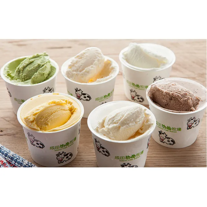牧場オリジナルアイス小カップ12個セット スイーツ 冷凍 