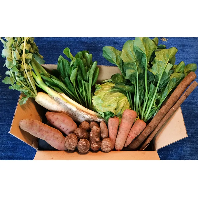 おかげさま農場の野菜のおまかせセット（無化学農薬・肥料栽培） 詰合せ 季節の野菜 詰め合わせ 
