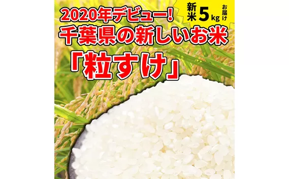 No.114 東金市産のお米「粒すけ」5kg