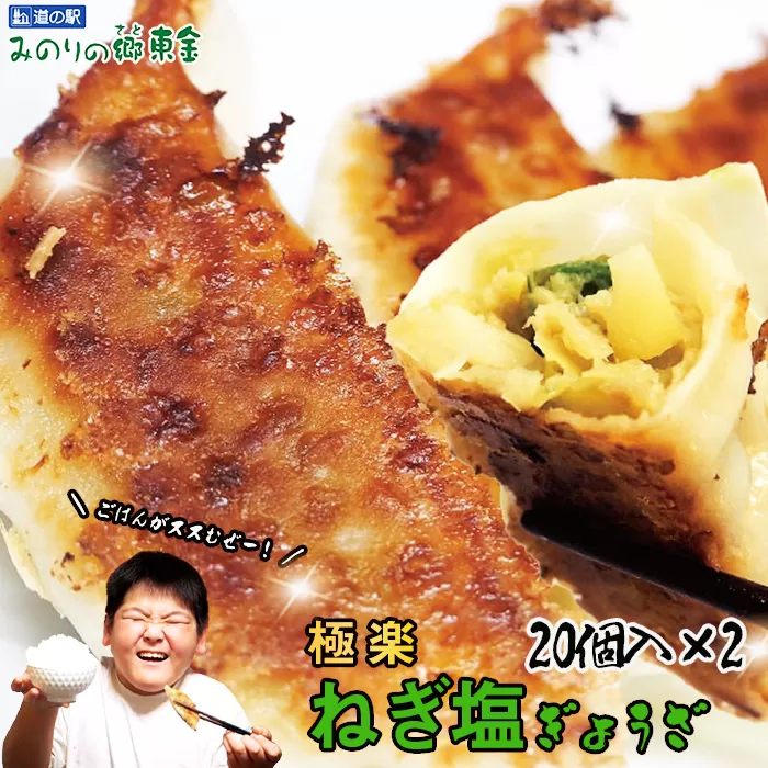 No.341 東金極楽ねぎ塩ぎょうざ2袋セット　20個入×2