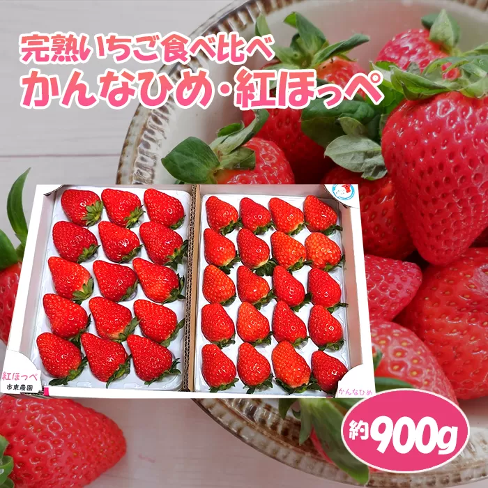 No.085 【かんなひめ／紅ほっぺ】市東農園の完熟いちご食べ比べセット　約900g