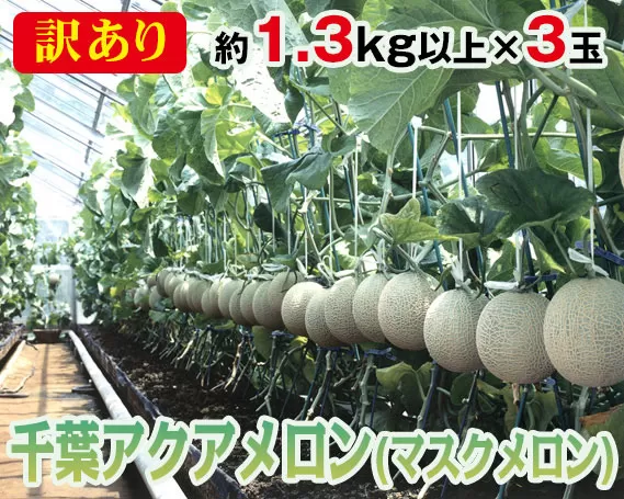 No.071 【約1.3kg以上×3玉】訳あり千葉アクアメロン（マスクメロン）