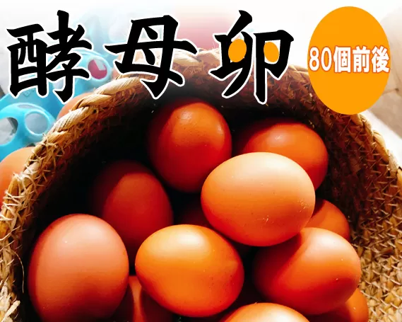 No.088 酵母卵