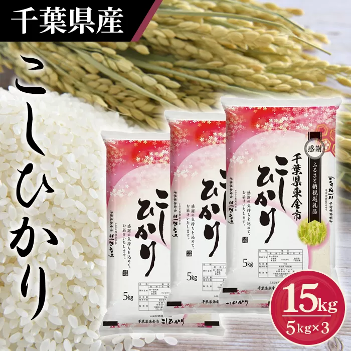 No.161 令和6年産 千葉県産コシヒカリ5kg×3袋