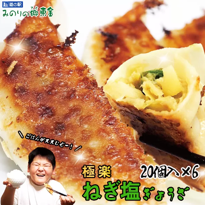 No.346 東金極楽ねぎ塩ぎょうざ6袋セット　20個入×6