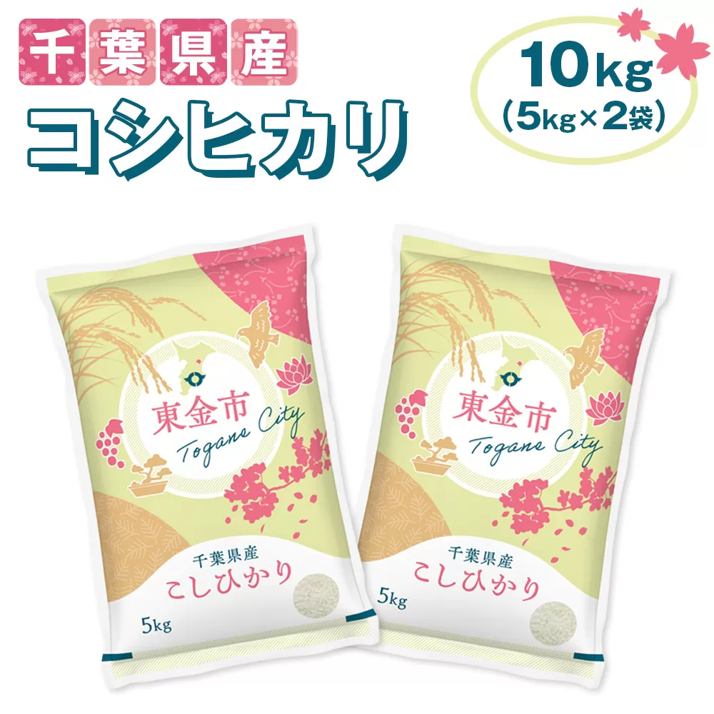 No.231 【令和6年産】千葉県産コシヒカリ10kg（5kg×2袋）