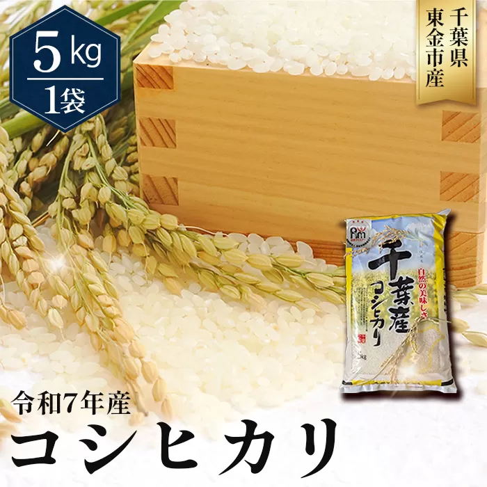 No.342 令和7年産 コシヒカリ5kg(千葉県東金市産)