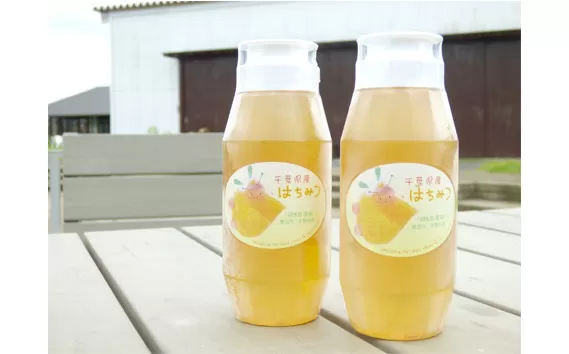 No.117 【非加熱・自家絞り】千葉県東金市産はちみつ（百花蜜）2本セット