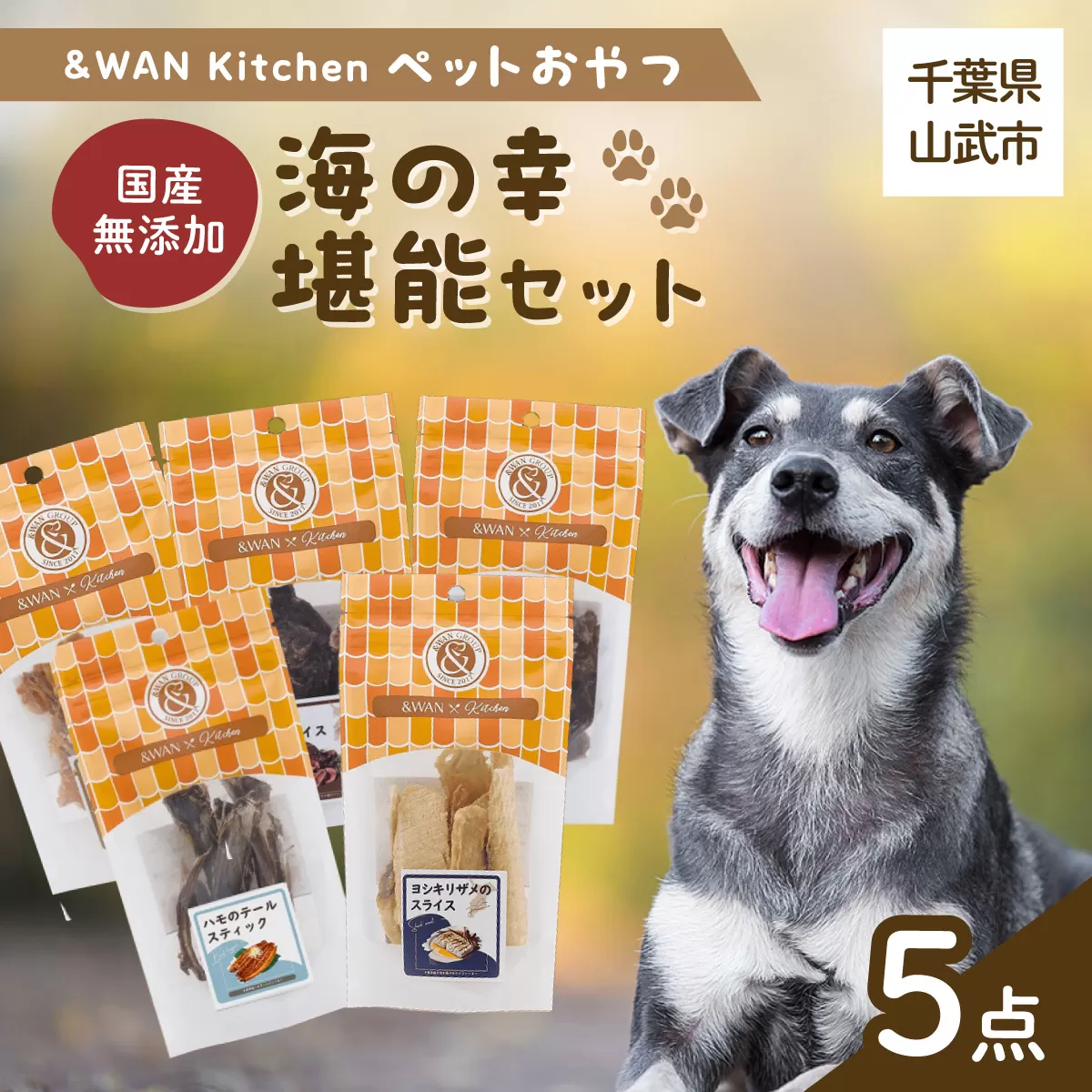 &WAN Kitchenペットおやつセット（海の幸堪能セット）（サメスライス/鮭まるごとビッツ/まぐろスティック/ハモしっぽ/エイまるごとチップ） SMU019