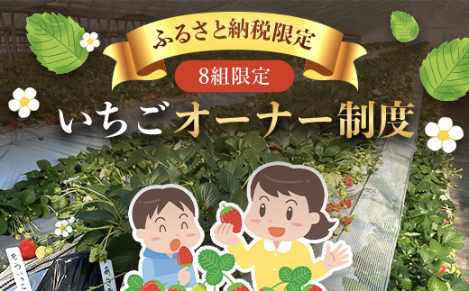 2024年3月配送開始】（ふるさと納税限定）いちごオーナー制度【8組限定
