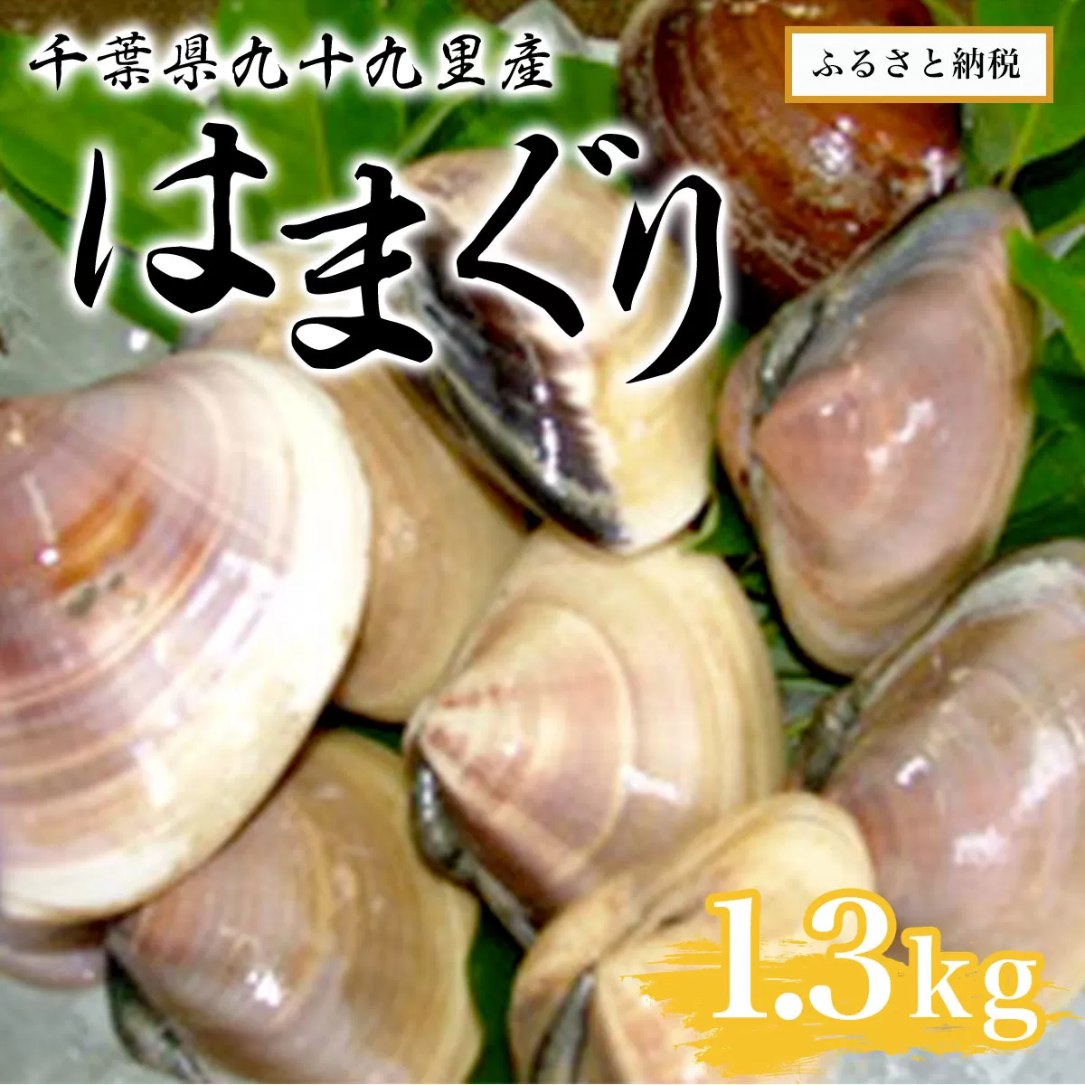 千葉県九十九里産はまぐり1.3kg SMAR001