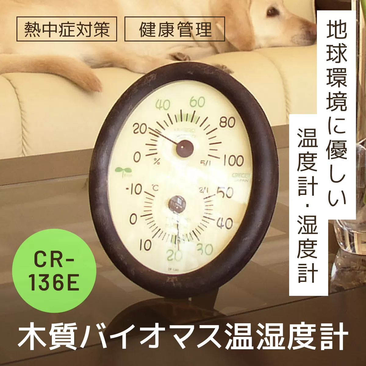木質バイオマス温湿度計 CR-136E SMBC002