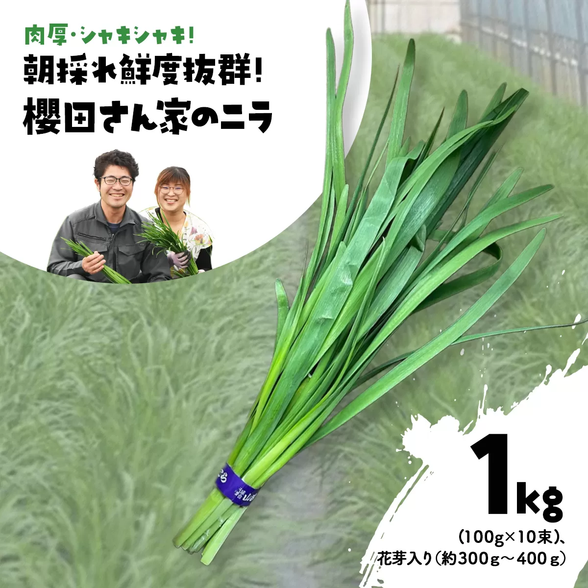 【先行予約】【2026年7月から発送】肉厚・シャキシャキ! 朝採れ鮮度抜群! 櫻田さん家のニラ 1kg(100g×10束)、花芽入り（約300ｇ～400ｇ） SMCS003