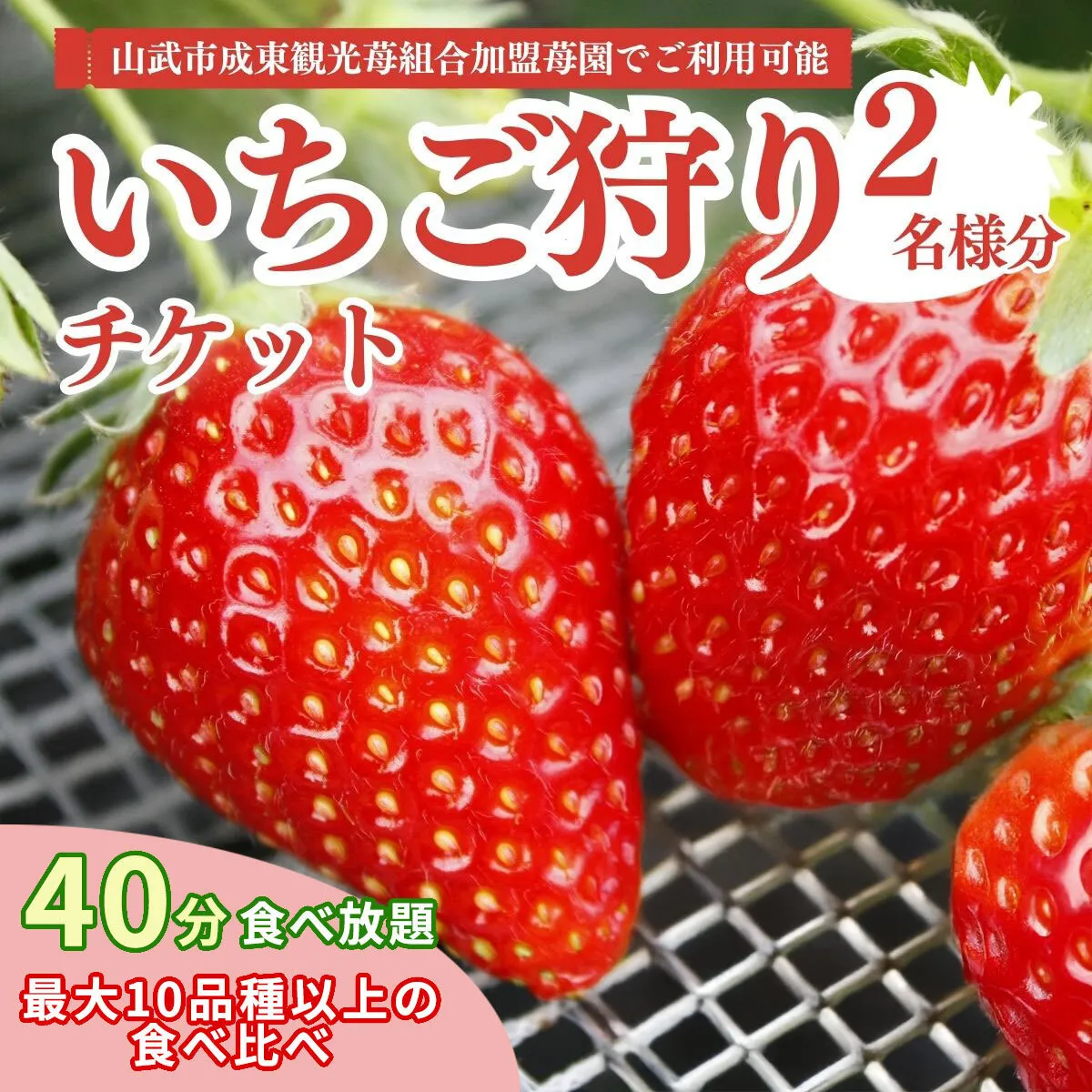 【先行予約】【12月から発送】いちご狩りチケット（2名様分）SMQ001