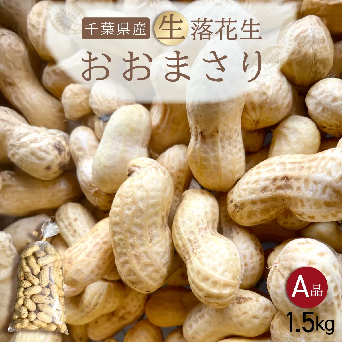 【先行受付・9月上旬より順次発送！】おおまさり 生落花生 1.5kg／ふるさと納税 落花生 生 生落花生 おおまさり 生おおまさり A品 大粒 希少 旬 季節限定 ふっくら 柔らか ほくほく 甘い 塩ゆで 千葉県 山武市 SMAH009