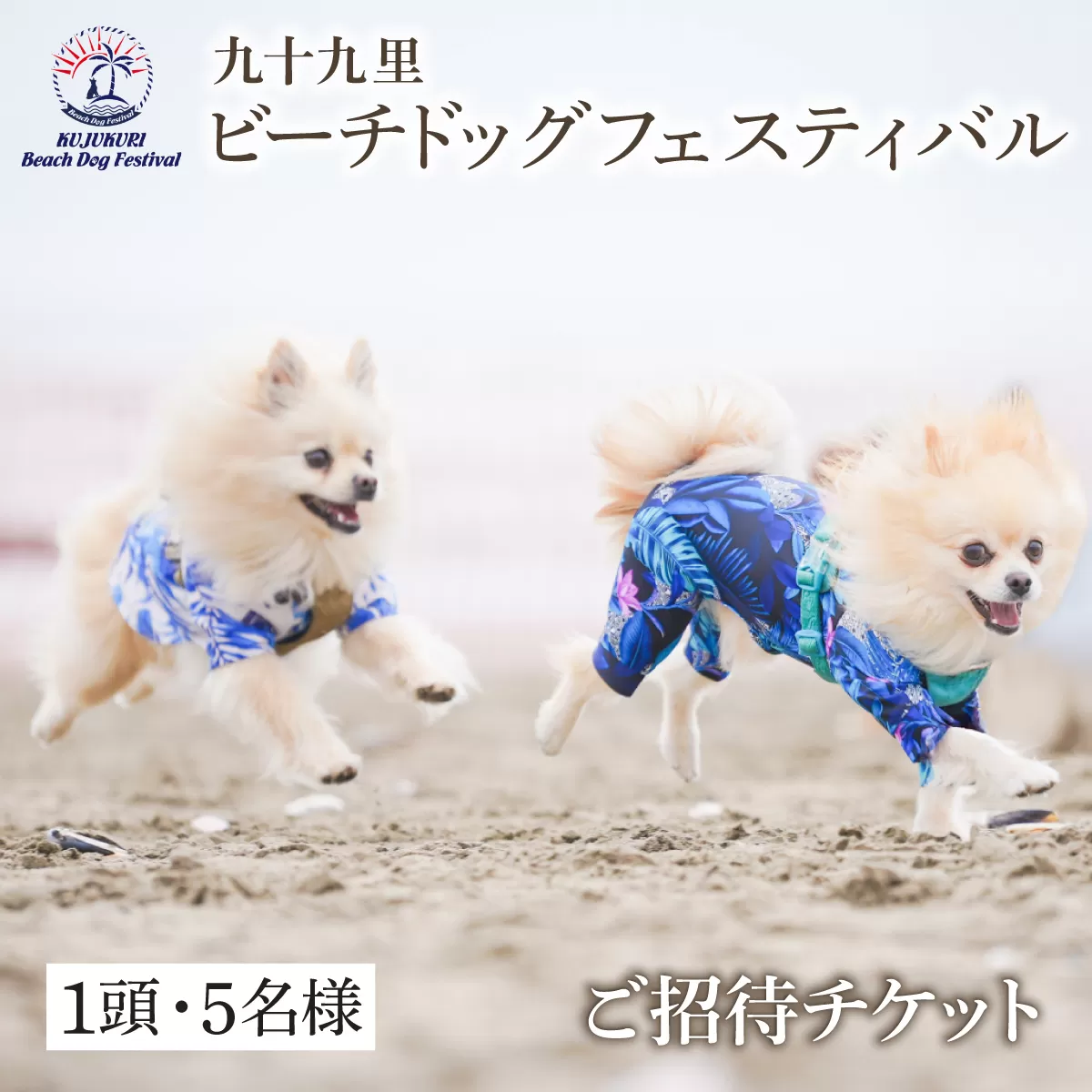 【九十九里ビーチドッグフェスティバル2025】1頭・5名様 ご招待チケット　ふるさと納税 チケット イベント ドッグフェス 愛犬 ワンちゃん beach dog fes ビーチ 砂浜 海岸 九十九里 千葉県 山武市 SMU012