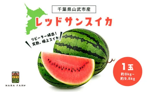 【先行予約】【2027年6月上旬から発送】レッドサンスイカ(約8kg~約9.8kg×1玉) SMAF001