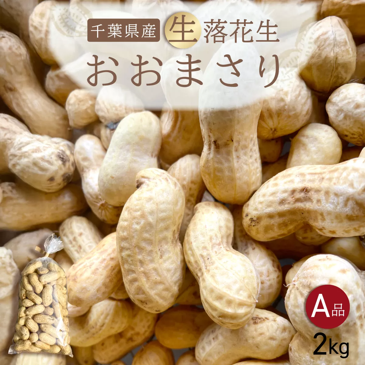 【先行受付・9月上旬より順次発送！】おおまさり 生落花生 2kg ／ふるさと納税 落花生 生 生落花生 おおまさり 生おおまさり A品 大粒 希少 旬 季節限定 ふっくら 柔らか ほくほく 甘い 塩ゆで 千葉県 山武市 SMAH010