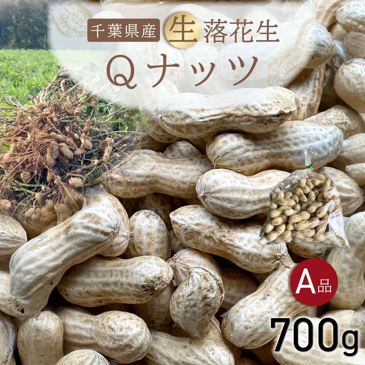 【先行受付・9月上旬より順次発送！】Qナッツ 生落花生 700g  ／ふるさと納税 落花生 生 生落花生 Qナッツ Qなっつ A品 新品種 希少 旬 季節限定 あっさり 香ばしい 甘い 塩ゆで おやつ おつまみ 千葉県 山武市 SMAH013