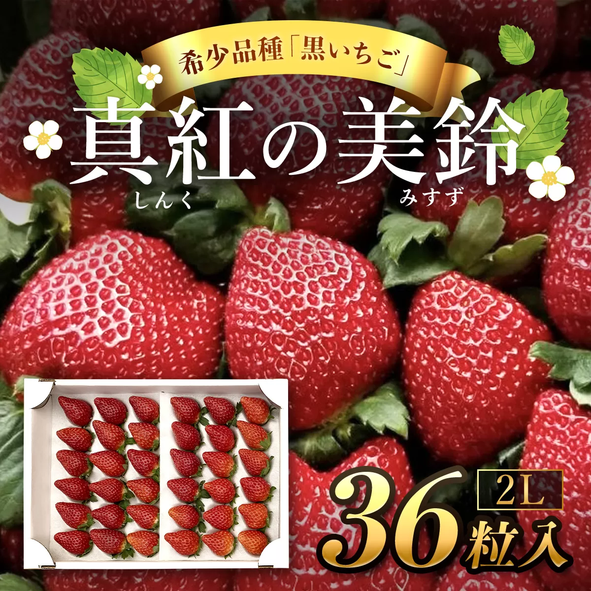 【先行予約/2024年12月配送開始】希少品種 黒いちご 真紅の美鈴 2L36粒入り SMAN001