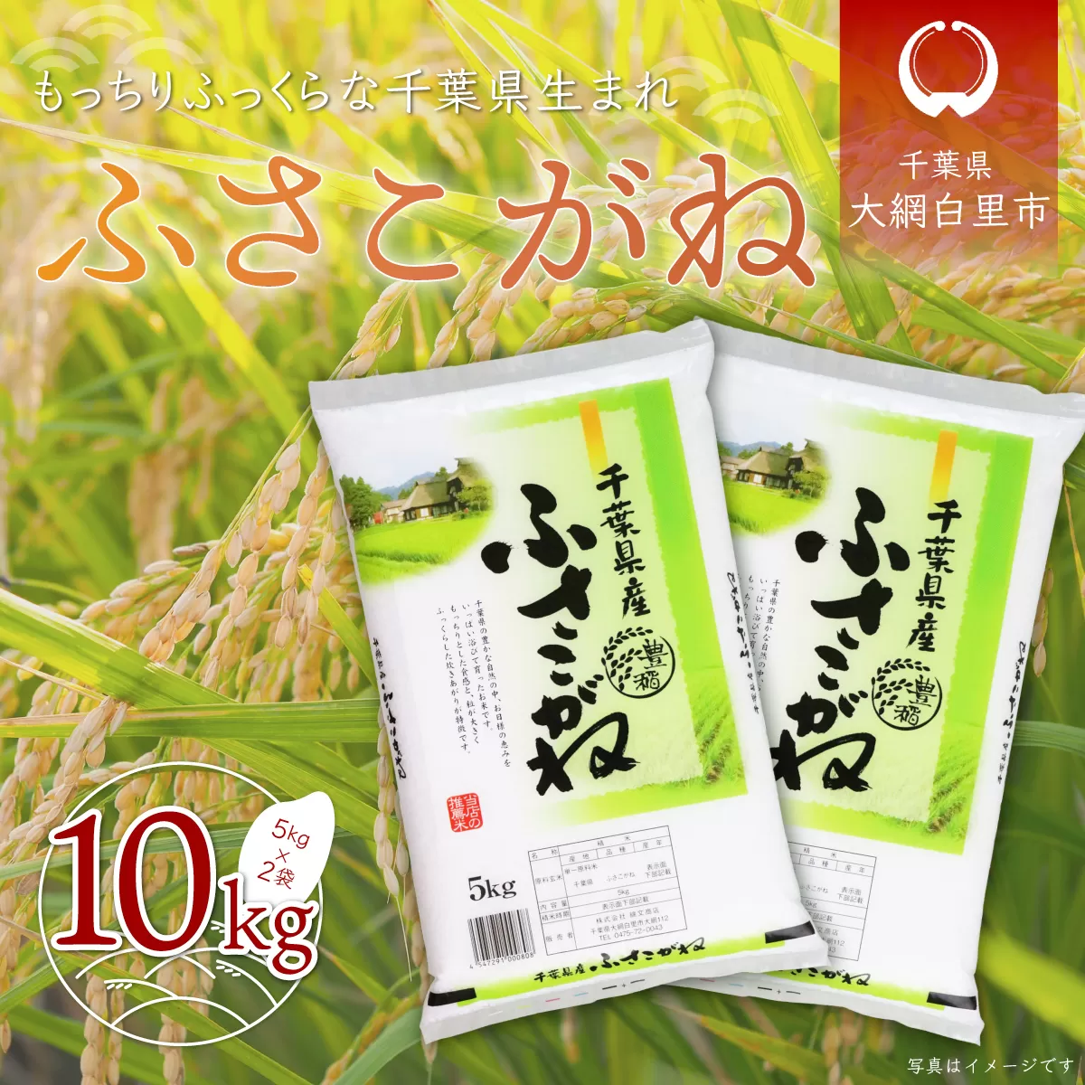 令和6年産  千葉県産「ふさこがね」10kg（5kg×2袋） A004
