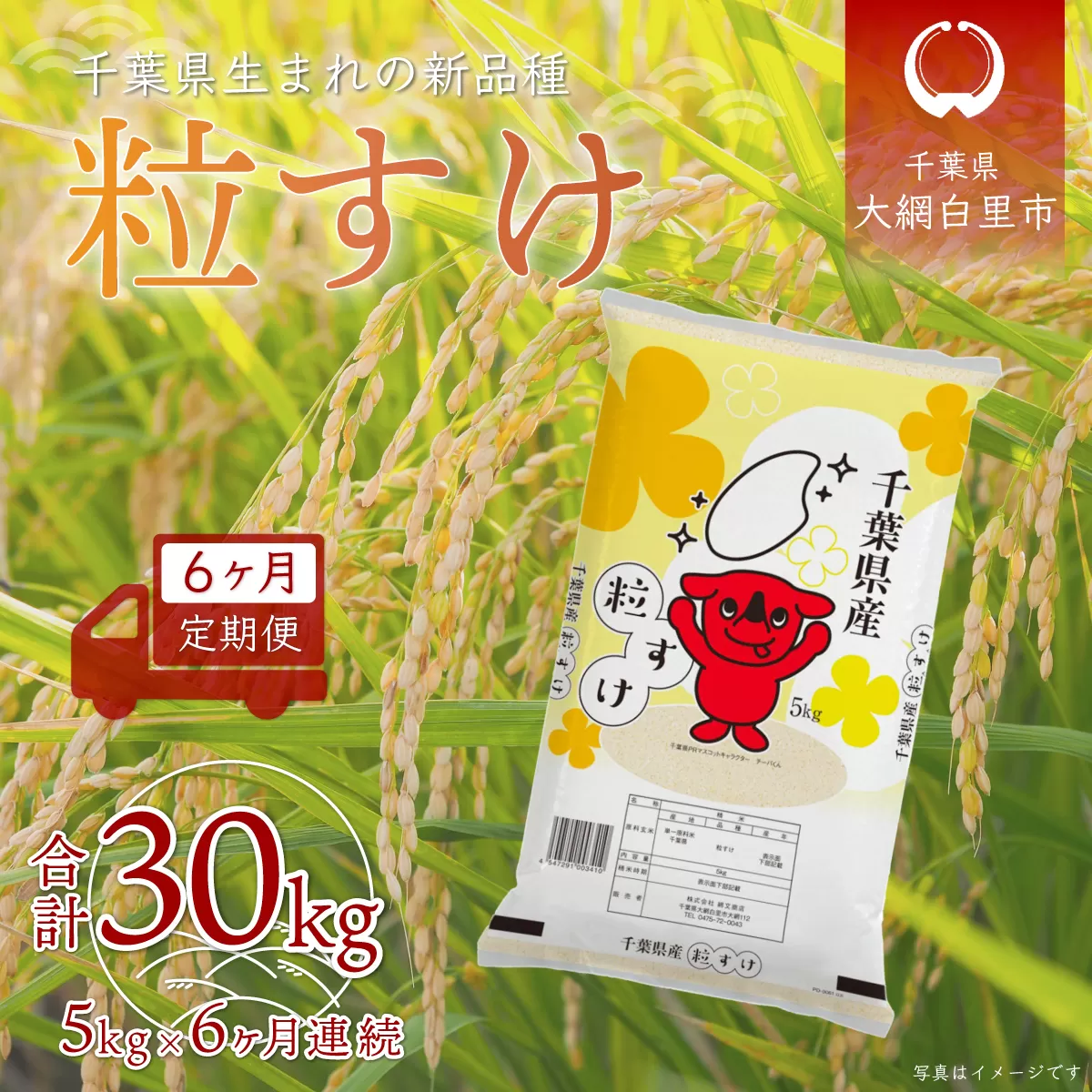 ＜6ヶ月定期便＞千葉県産「粒すけ」5kg×6ヶ月連続 計30kg A030