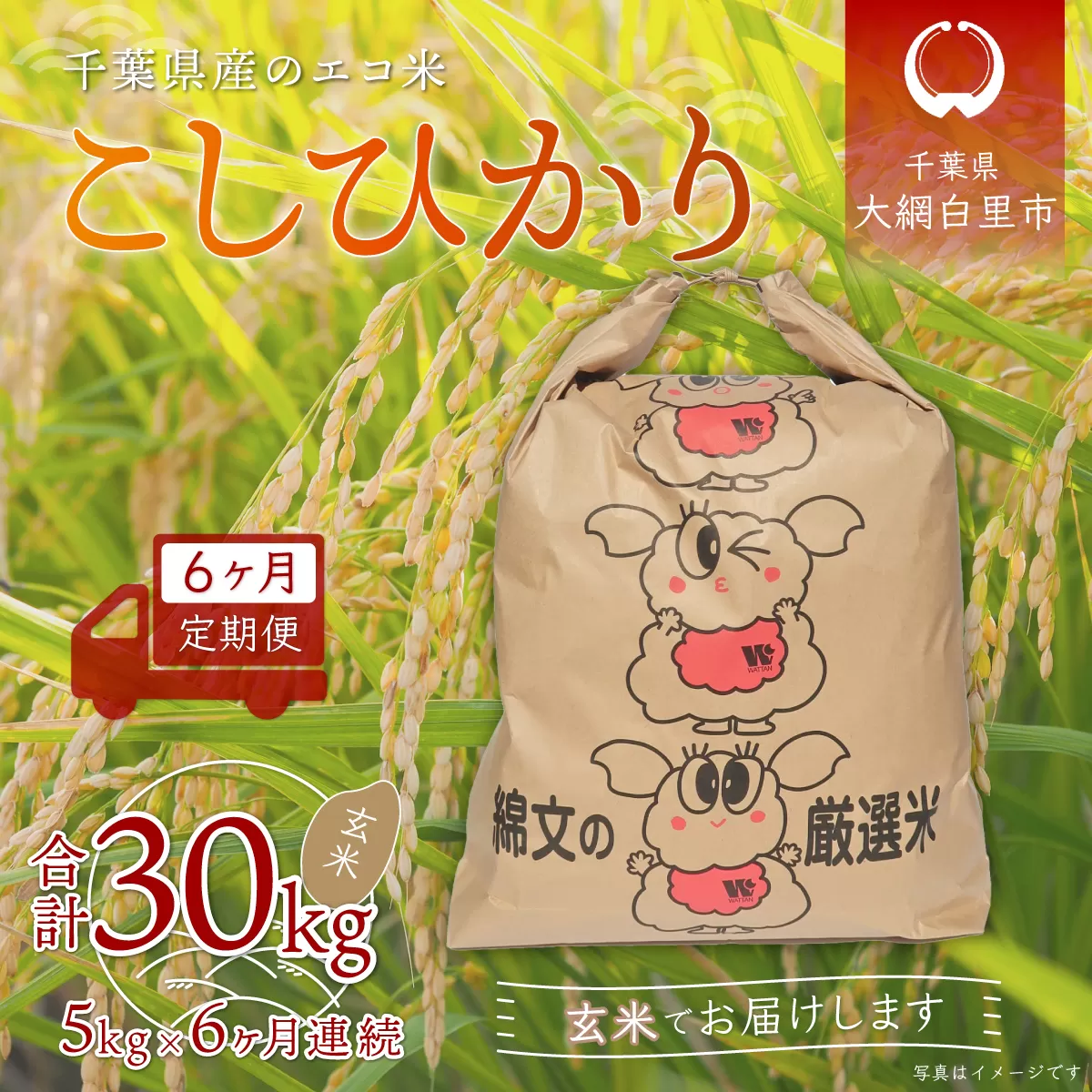 ＜6ヶ月定期便＞千葉県産エコ米「コシヒカリ」玄米5kg×6ヶ月連続 計30kg A019