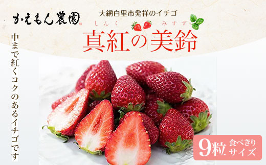 先行予約/2024年12月下旬より発送開始予定】大網白里市発祥の